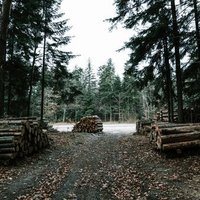 Blog Single